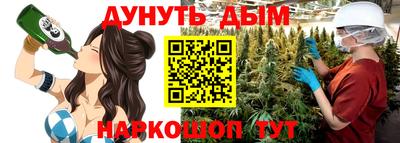 крисы Апшеронск
