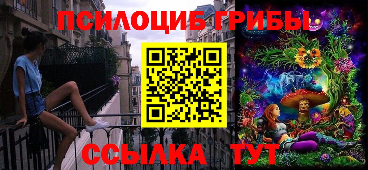 Псилоцибиновые грибы Cubensis  Вход с VPN  Всеволожск 